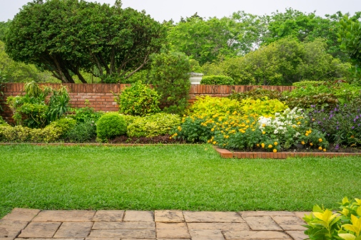 Lawn Restoration in Clarksville, TN 37042