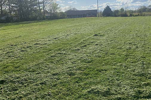 Lawn Service in Clarksville, TN 37042